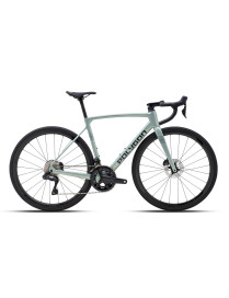 Bicicleta 700" Ruta Polygon Strattos Carbon S8X Sage Green - Ultegra Di2 12V